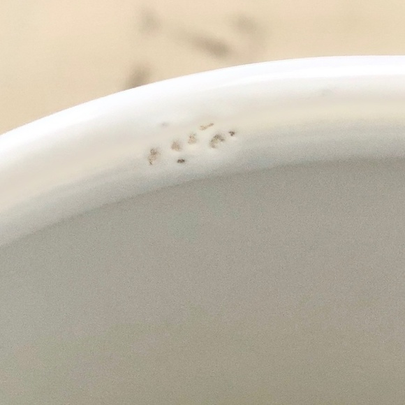 Coca Cola, Can, Ceramic, Cookie Jar, 2005, Coca Cola Polar, Bear, Design‎ - Picture 15 of 15